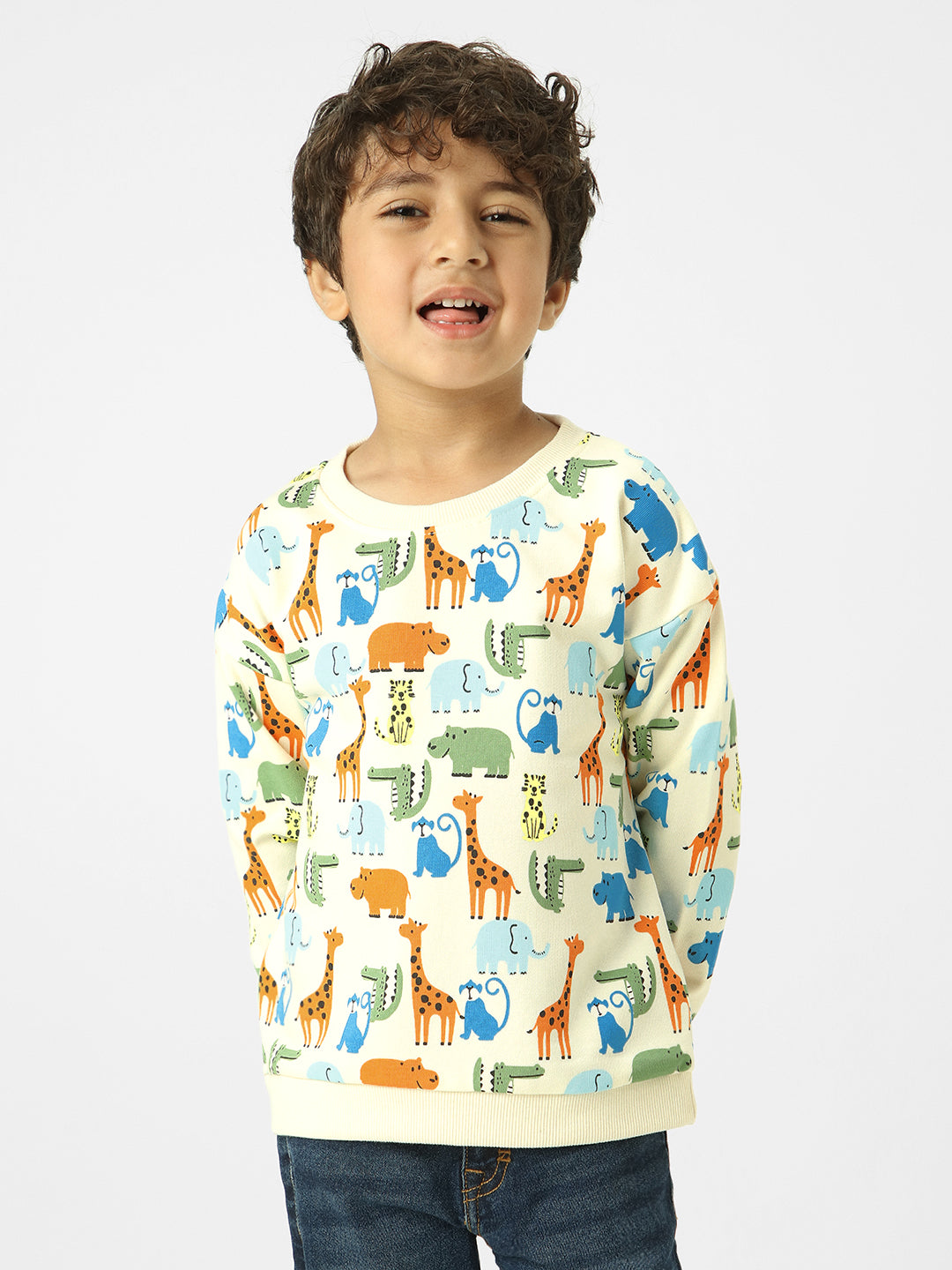 Boys Conversational Printed Sweatshirt