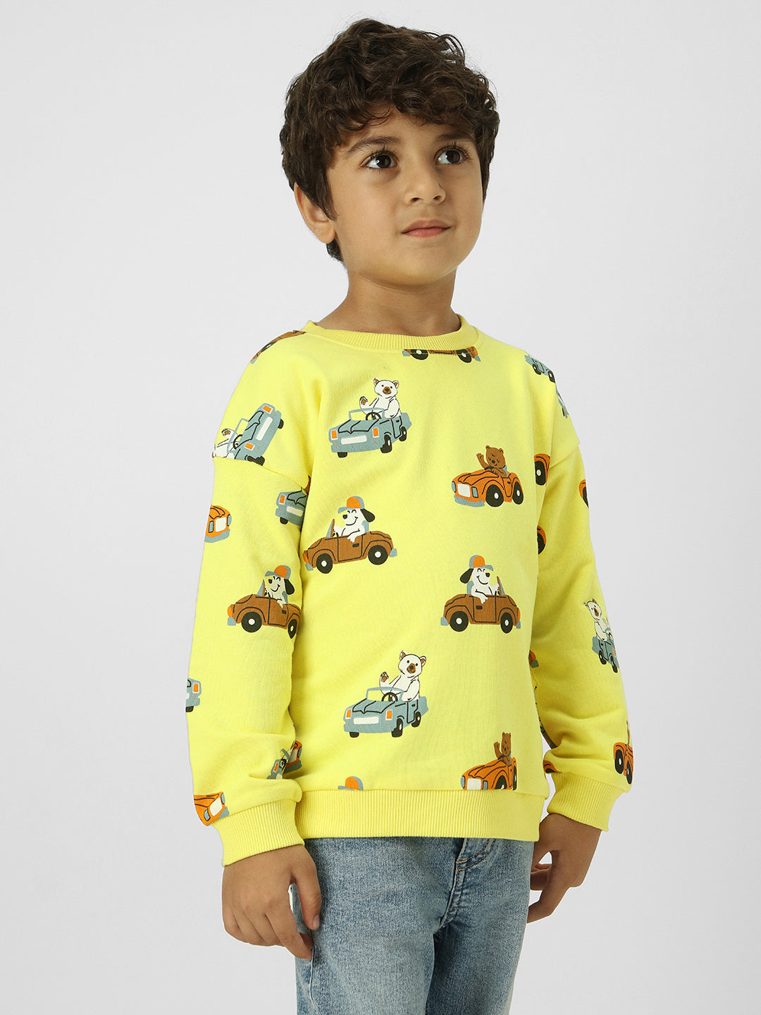 Boys Conversational Printed Sweatshirt