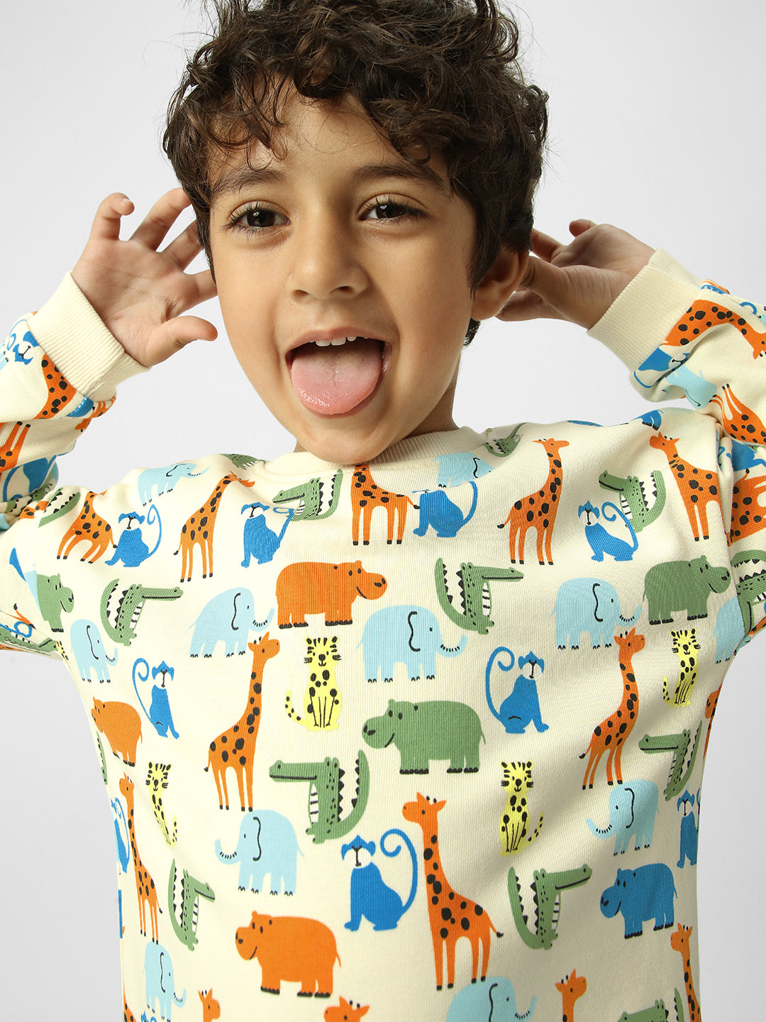 Boys Conversational Printed Sweatshirt