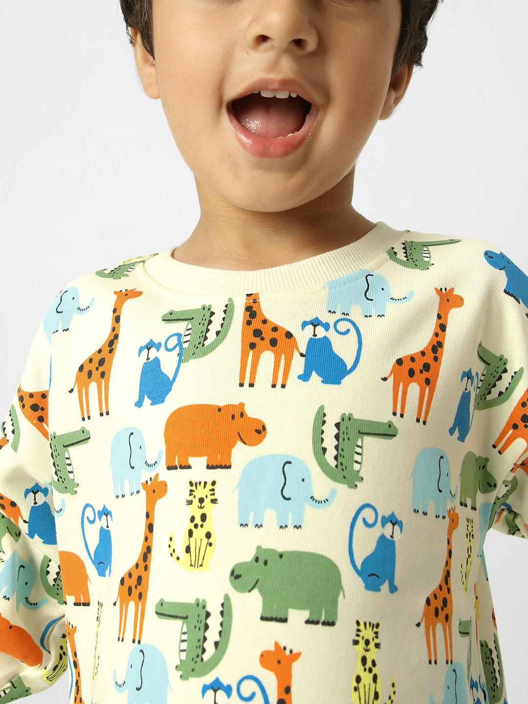 Boys Conversational Printed Sweatshirt