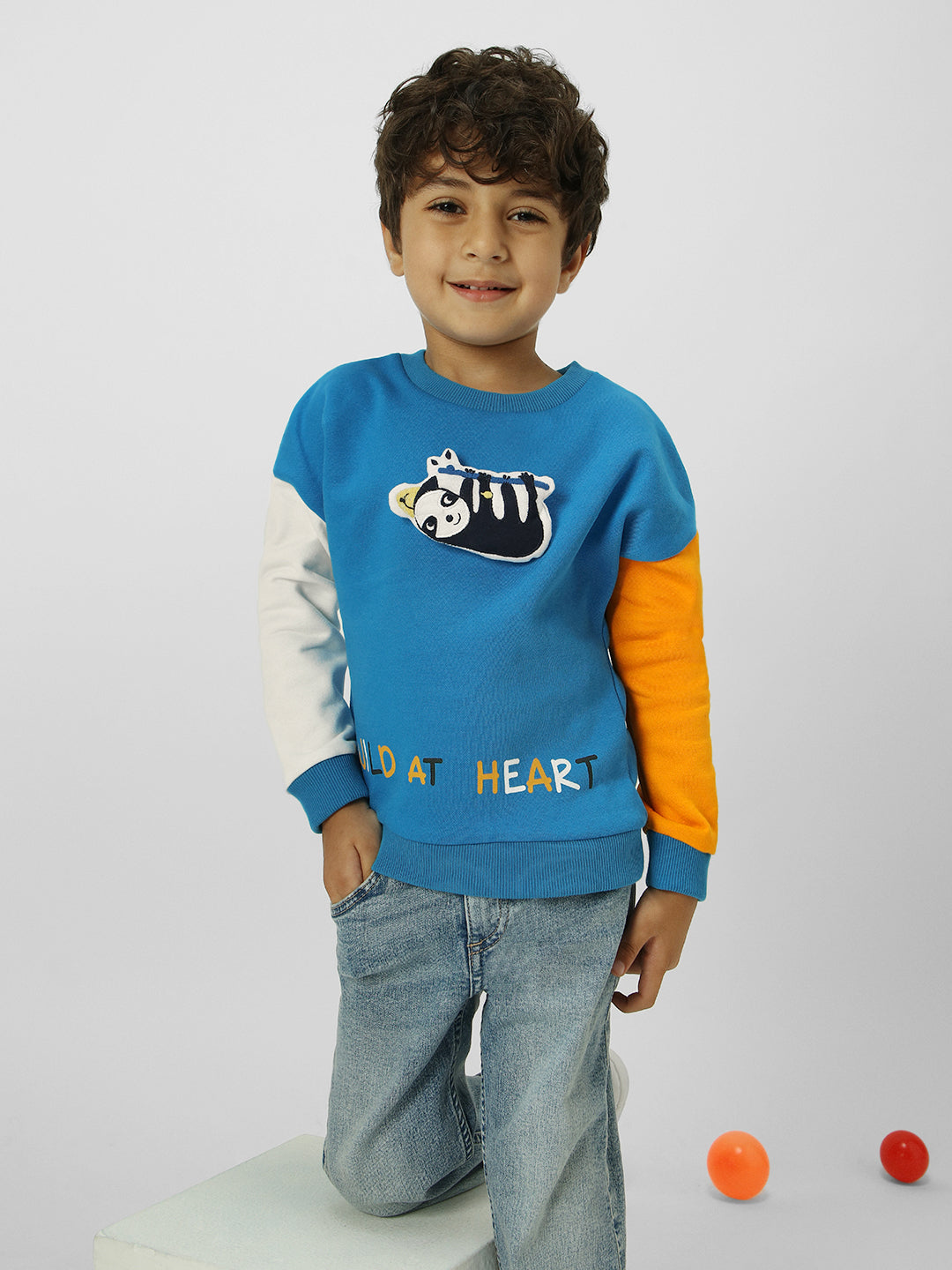 Boys Interactive & Playful Animal-Themed Applique Sweatshirt