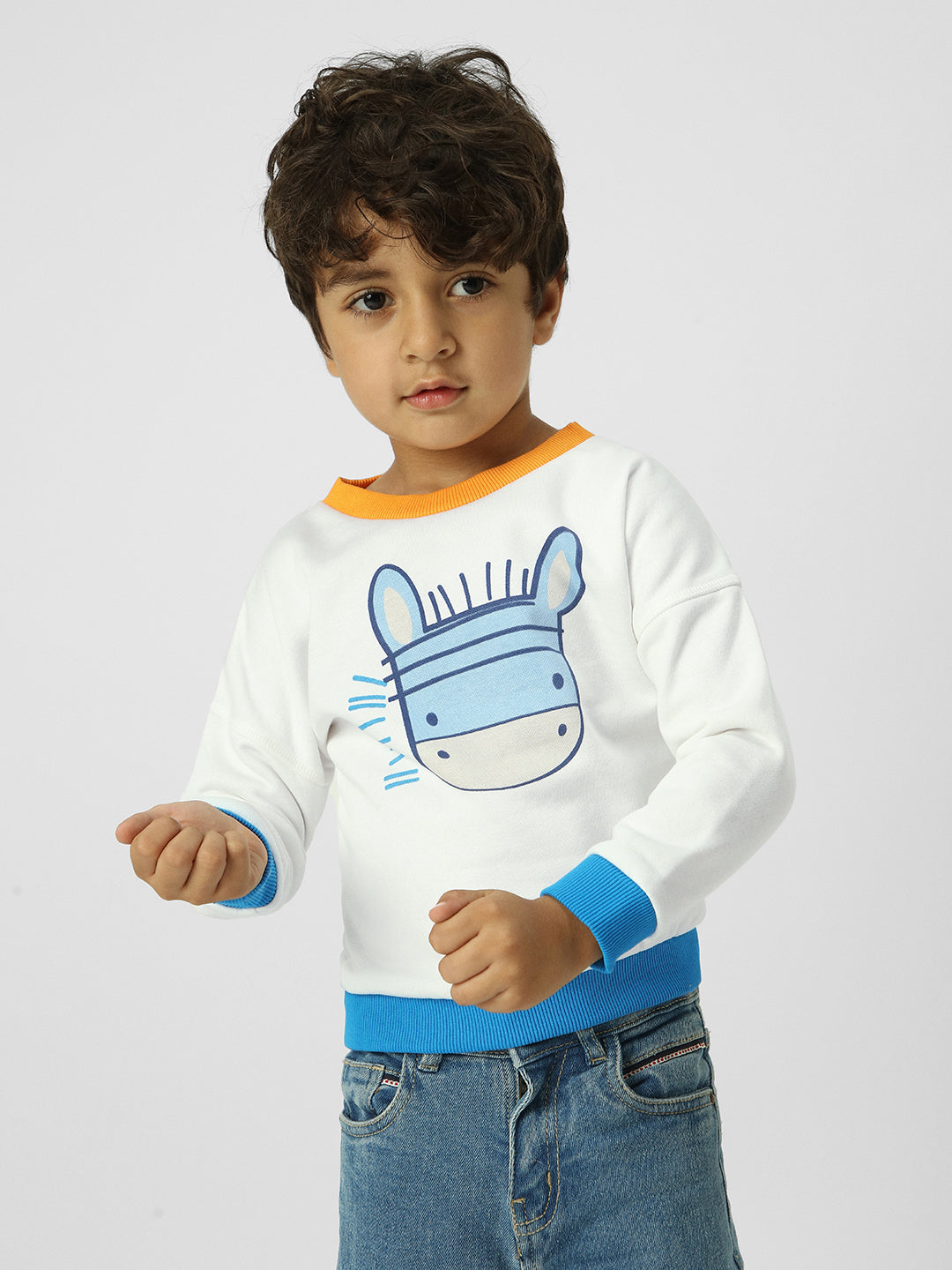 Boys Colourful-Ribbed Sweatshirt