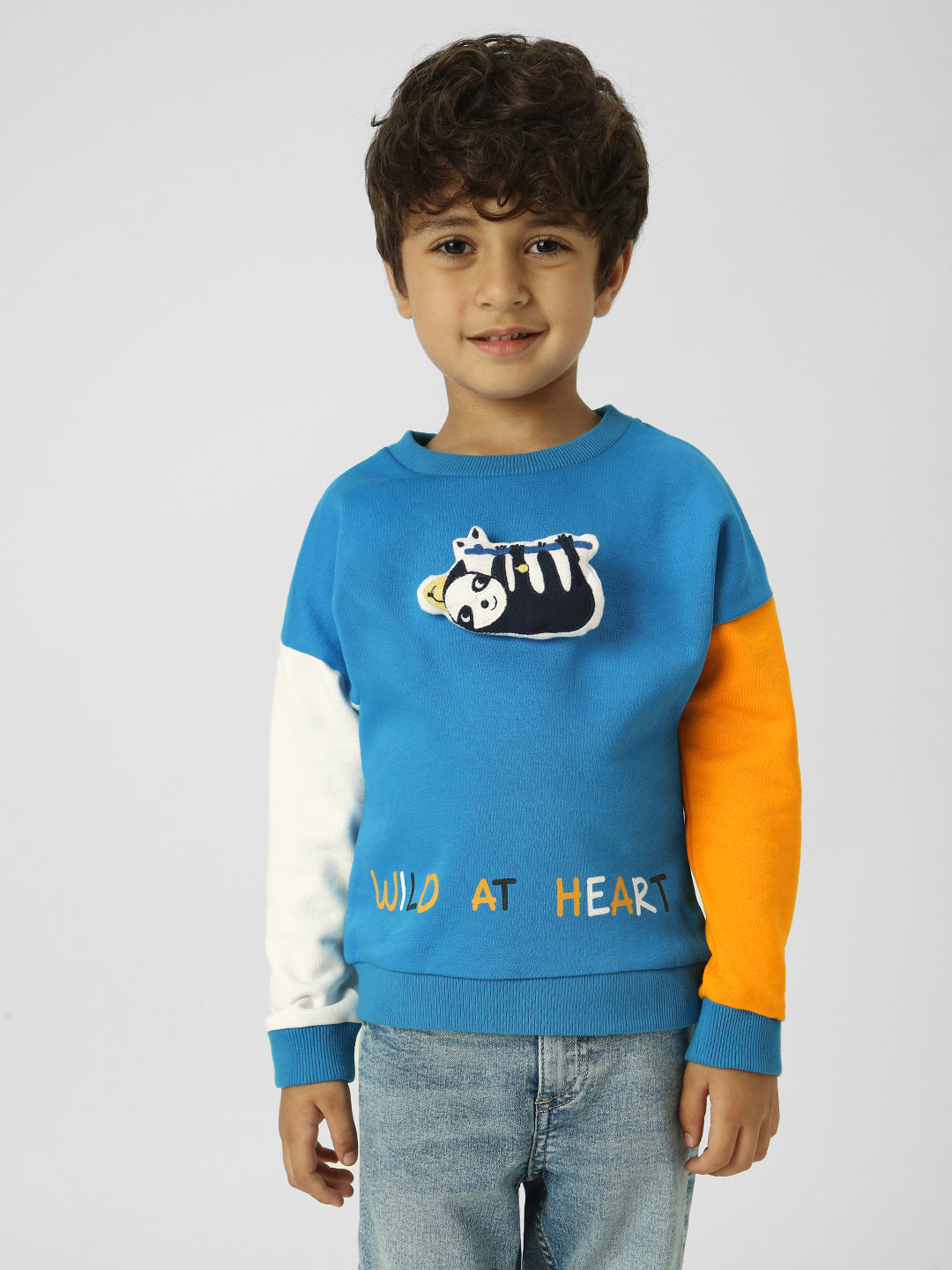 Boys Interactive & Playful Animal-Themed Applique Sweatshirt