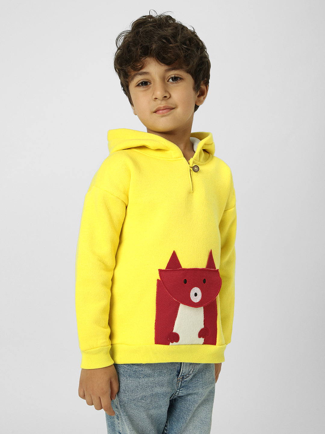 Boys Graphic Applique Hooded Pullover Sweatshirt