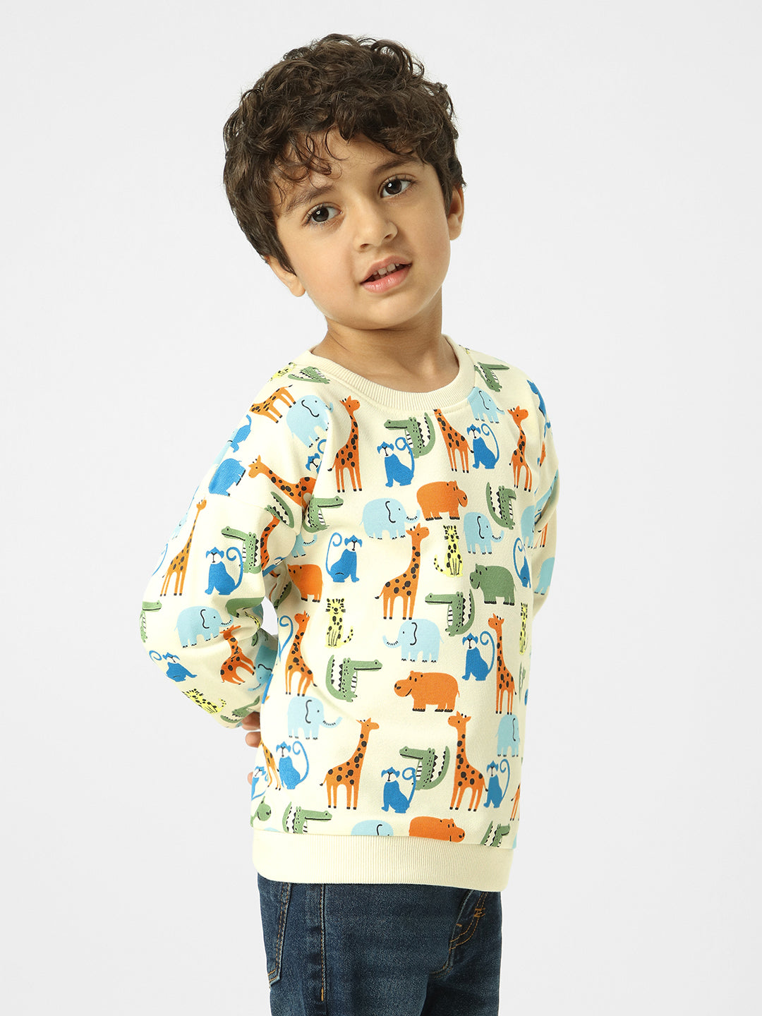 Boys Conversational Printed Sweatshirt