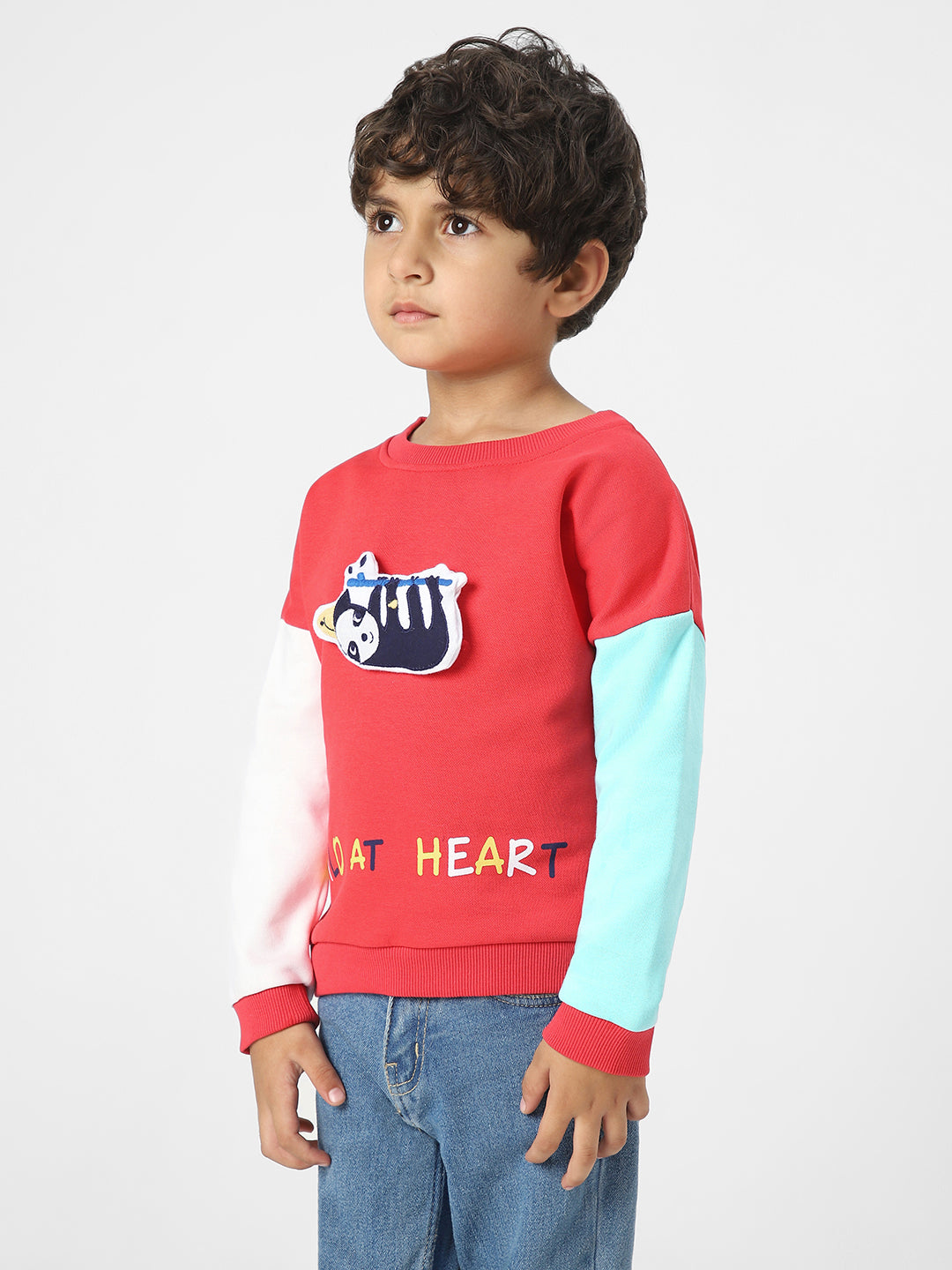 Boys Interactive & Playful Animal-Themed Applique Sweatshirt