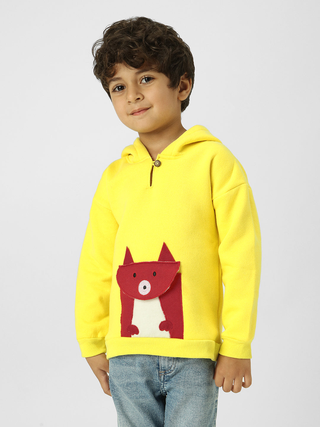 Boys Graphic Applique Hooded Pullover Sweatshirt