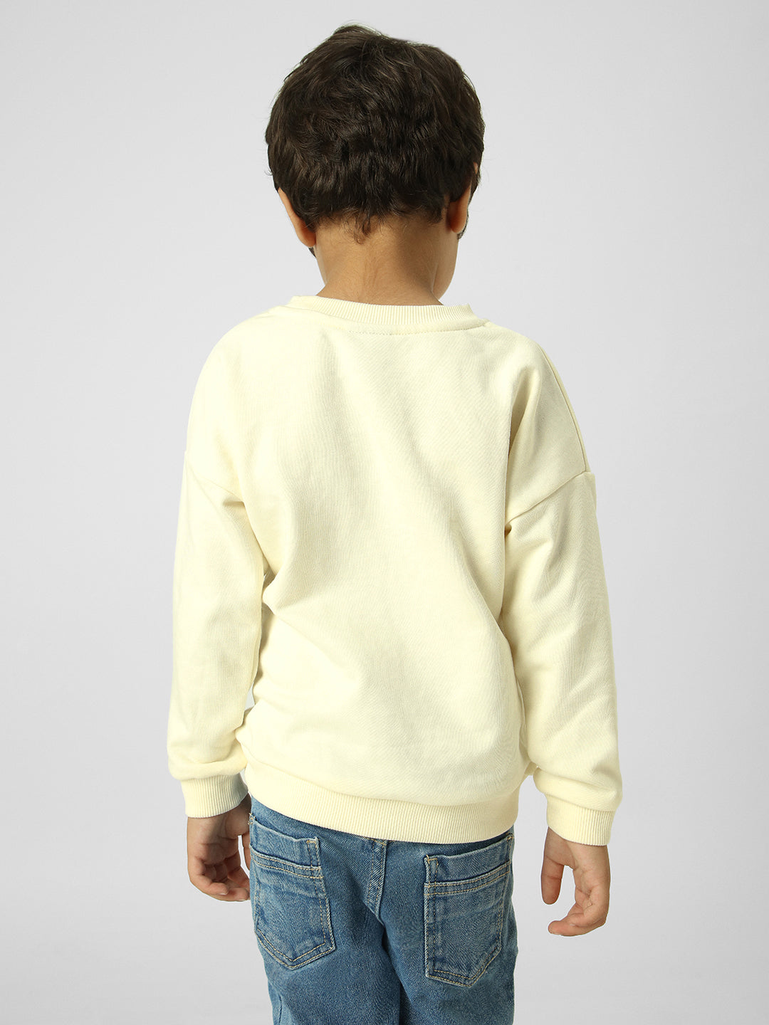 Boys Animal Printed Pullover Sweatshirt