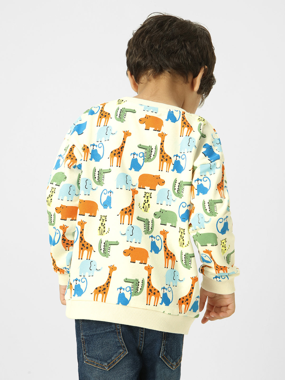 Boys Conversational Printed Sweatshirt