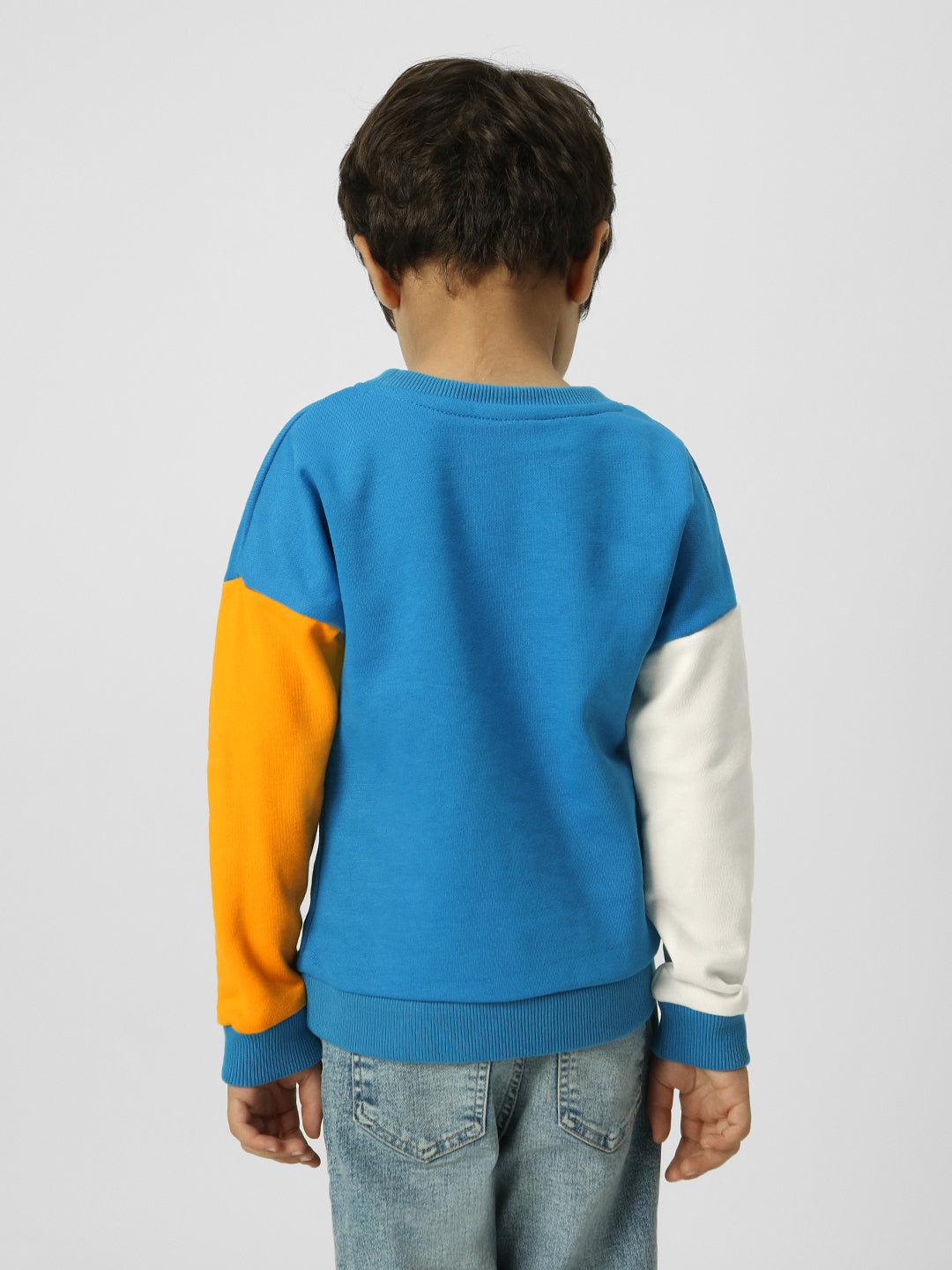 Boys Interactive & Playful Animal-Themed Applique Sweatshirt