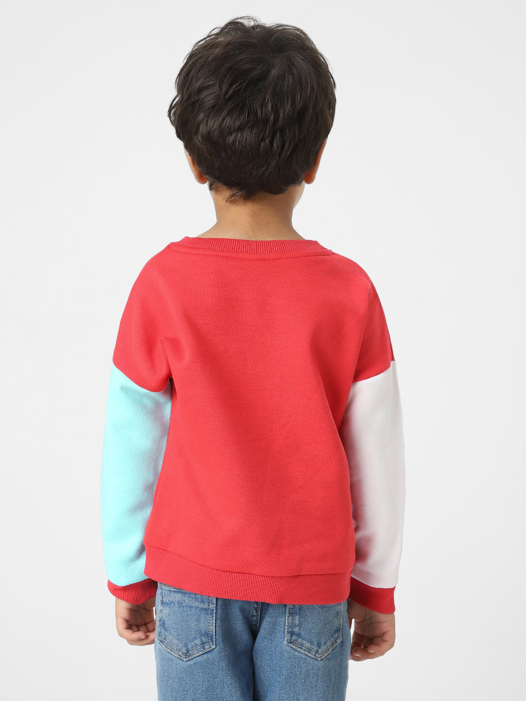 Boys Interactive & Playful Animal-Themed Applique Sweatshirt