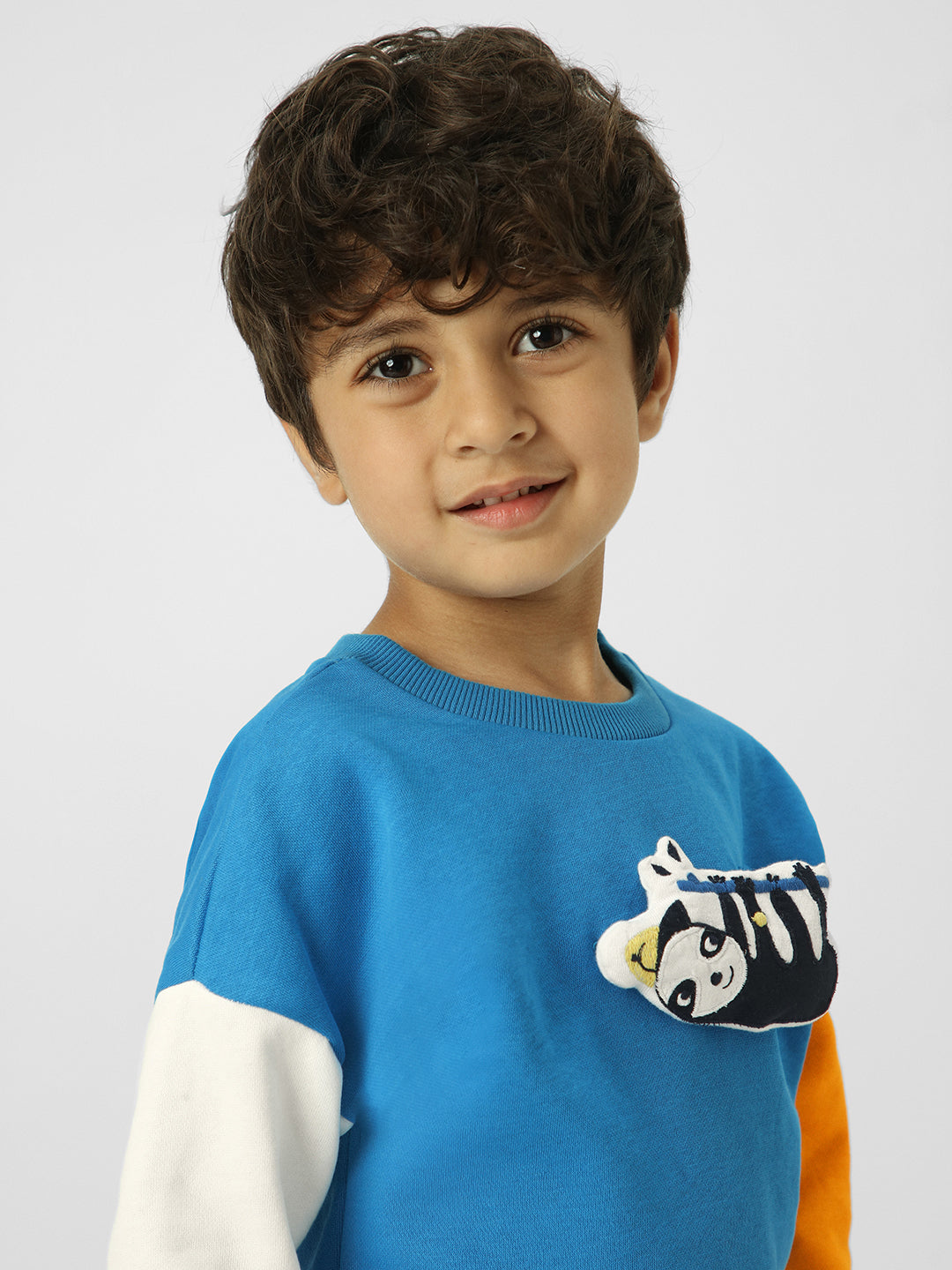 Boys Interactive & Playful Animal-Themed Applique Sweatshirt