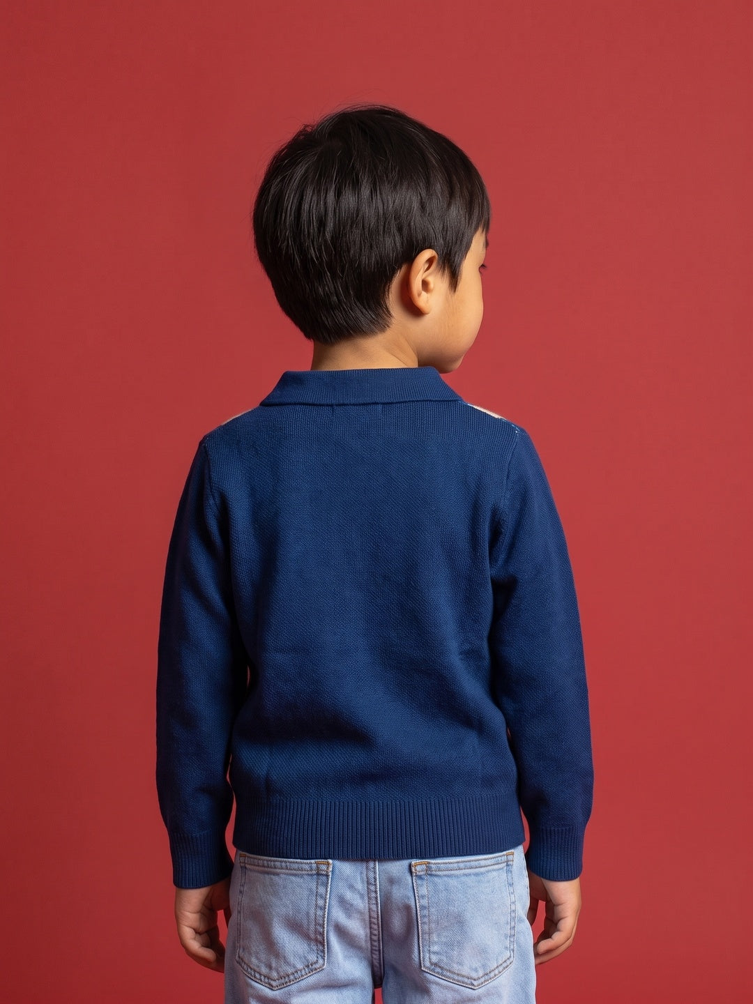 Nautinati Boys Relaxed Fit Full Sleeves Argyle Polo Knit Sweater
