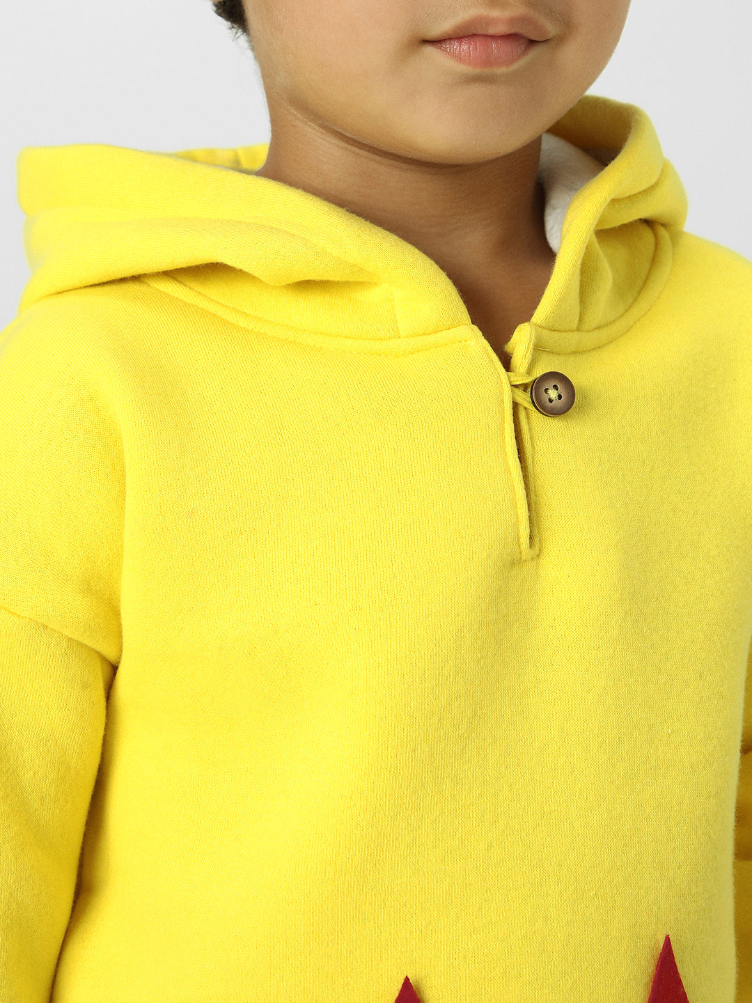 Boys Graphic Applique Hooded Pullover Sweatshirt