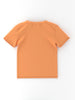 Nautinati Blue and Orange Simba Lion King Printed T-shirts | Boys | Aged 2 - 10 Years | Pack of 2 Tees
