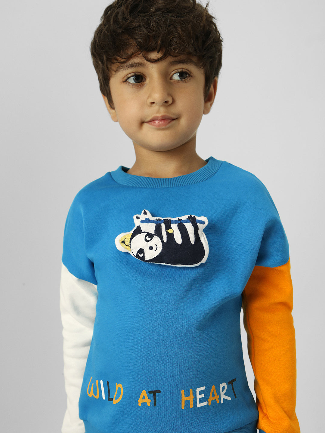 Boys Interactive & Playful Animal-Themed Applique Sweatshirt