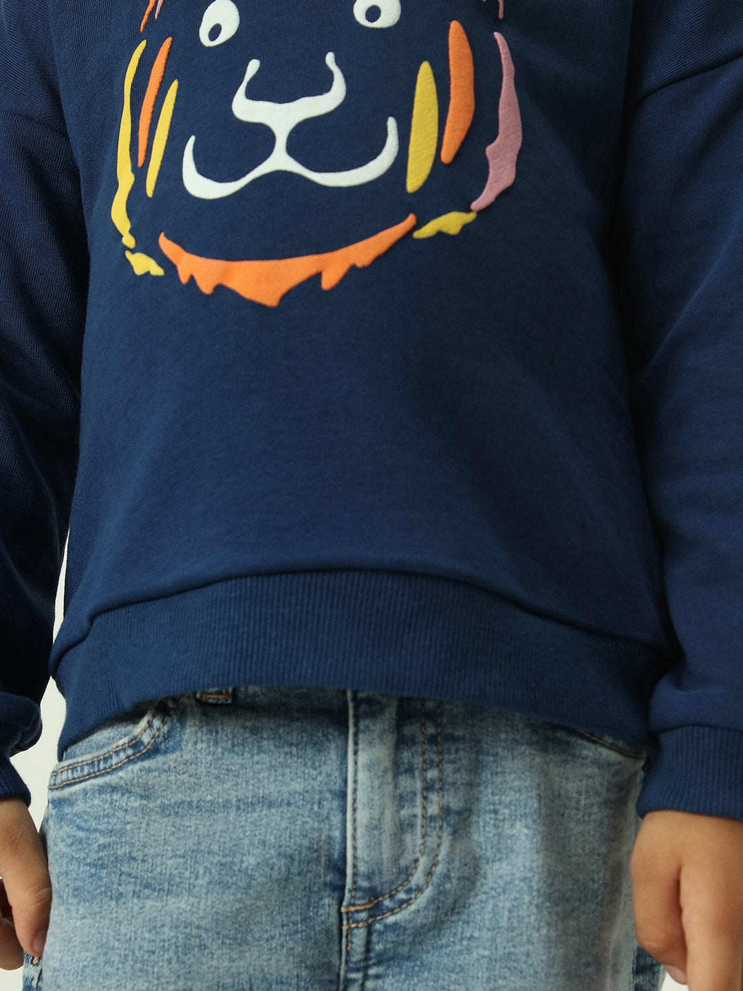 Boys Graphic Printed Round Neck Pullover Sweatshirt