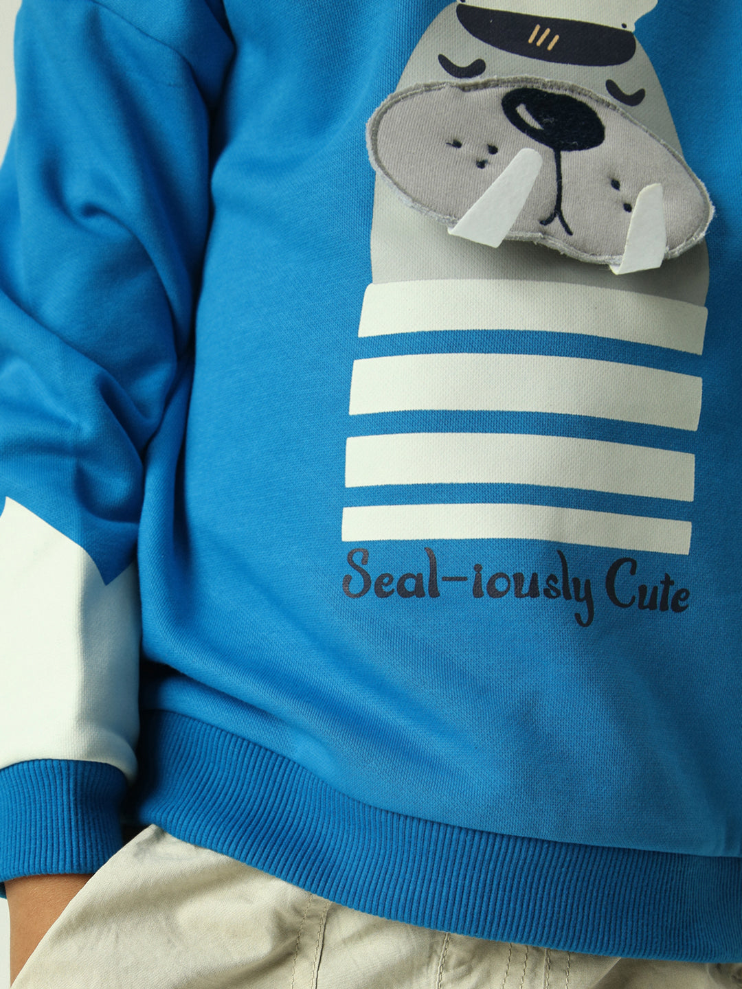 Boys Interactive & Playful Animal-Themed Applique Sweatshirt