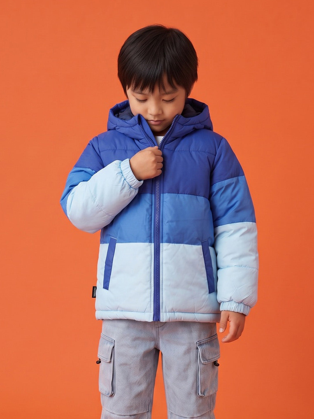 Nautinati Boys Hooded Ombre Colourblock Puffer Jacket with Front Zip, Regular Fit