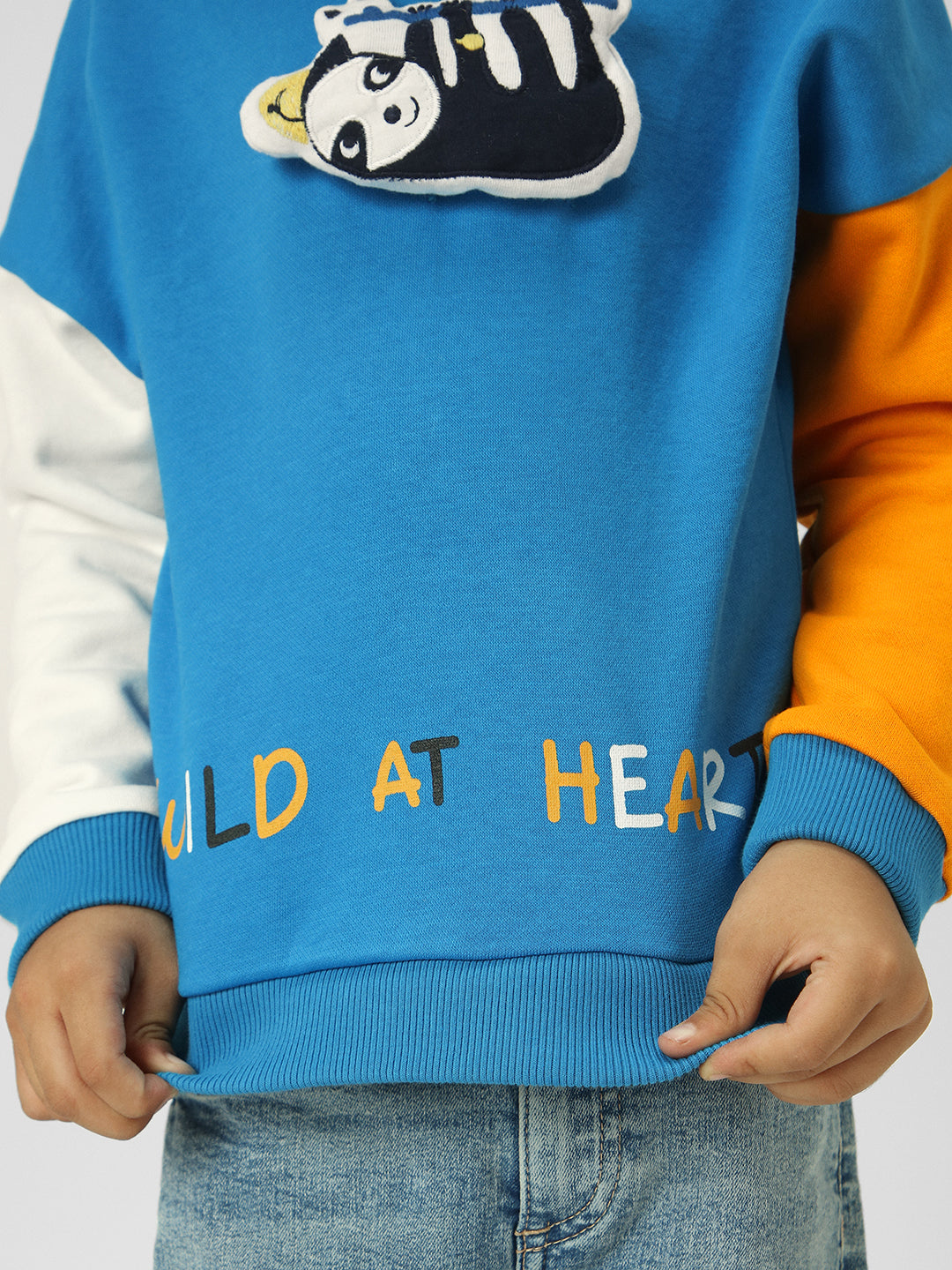 Boys Interactive & Playful Animal-Themed Applique Sweatshirt