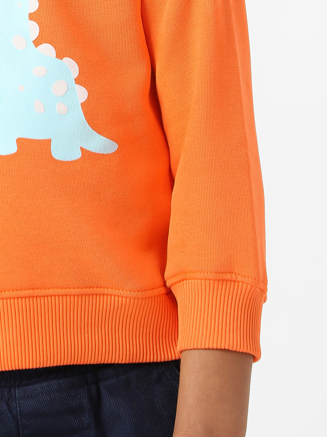 Nautinati Boys' Fleece Dinosaur Printed Sweatshirt