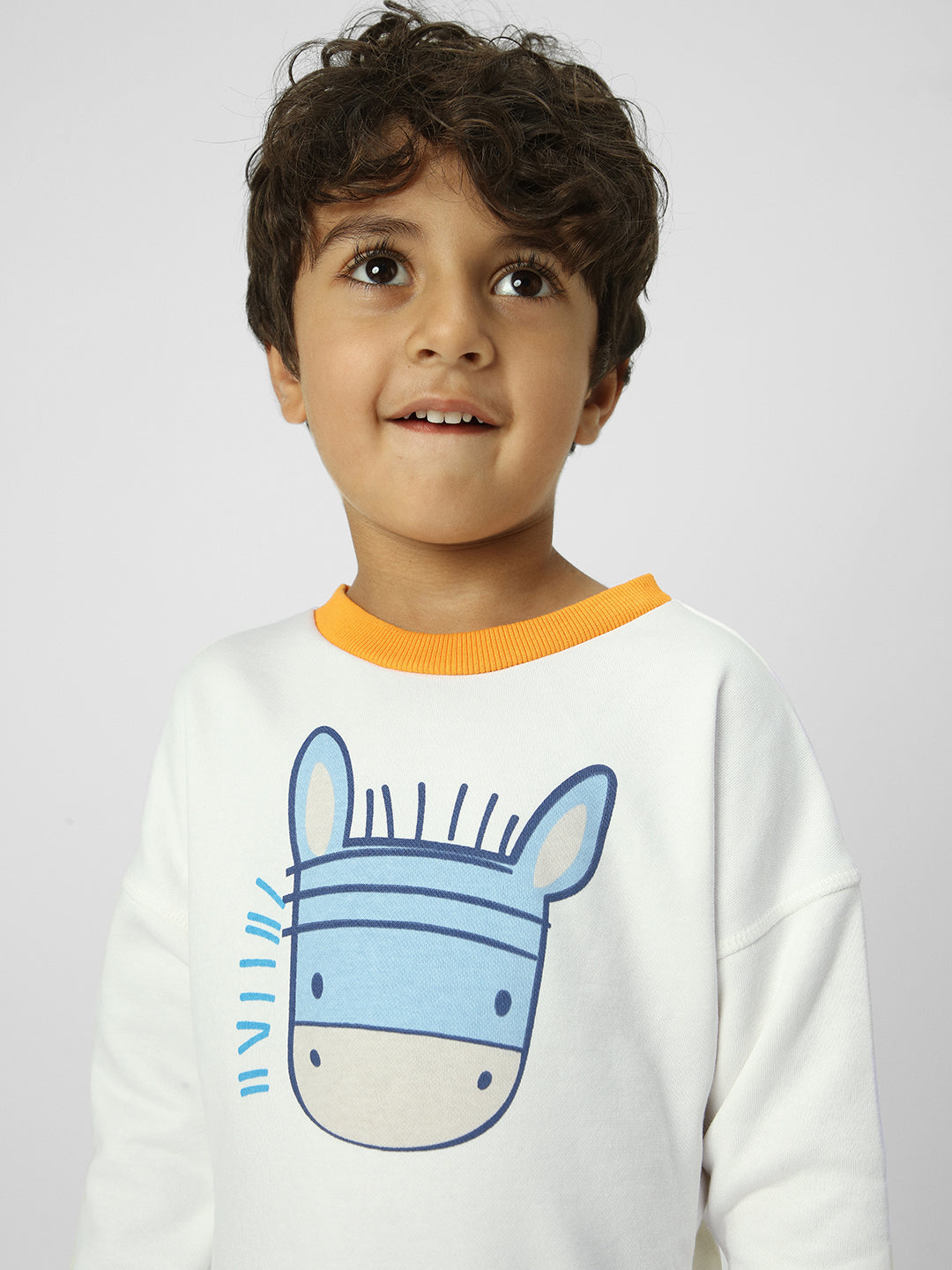 Boys Colourful-Ribbed Sweatshirt