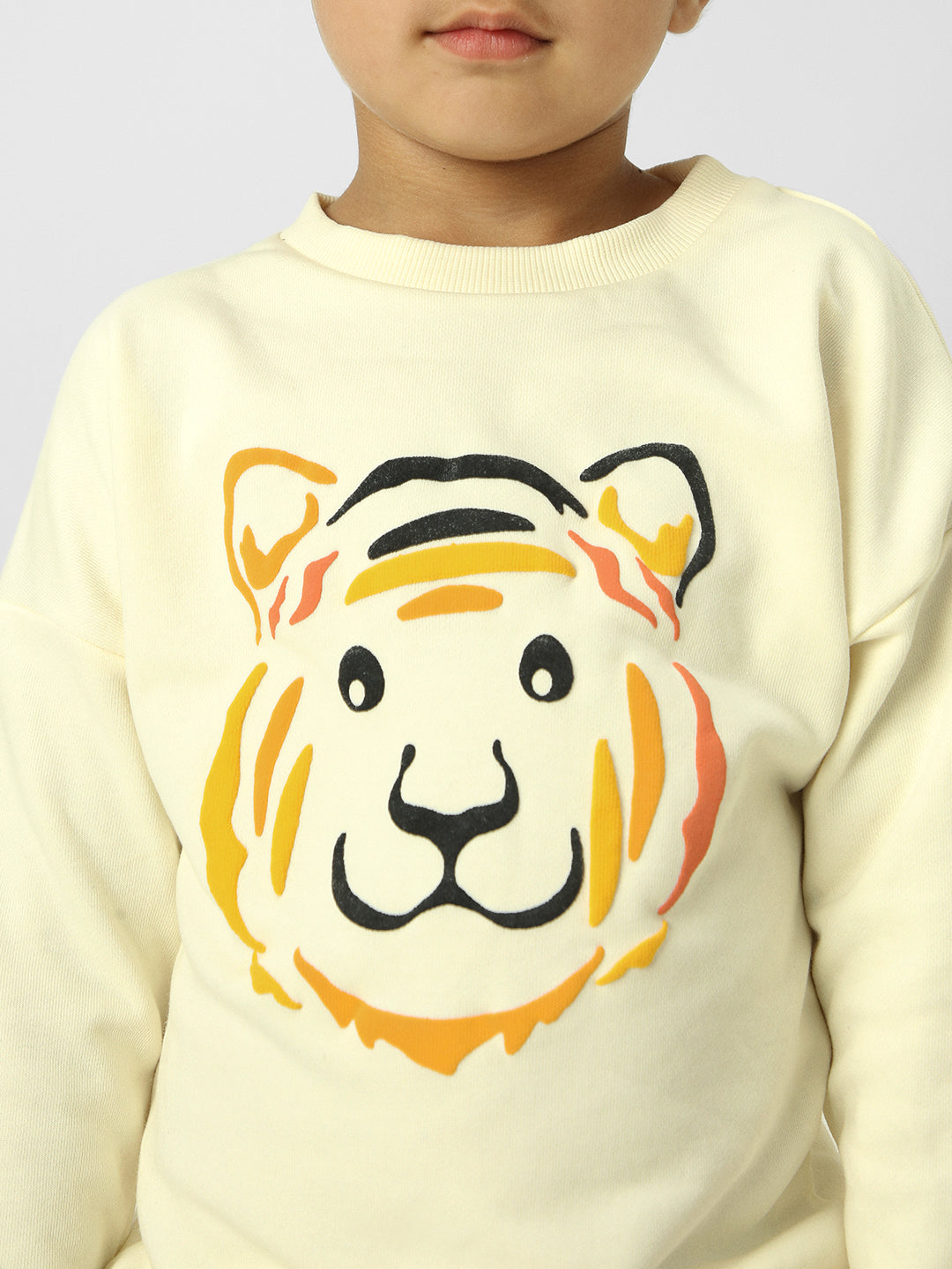 Boys Animal Printed Pullover Sweatshirt