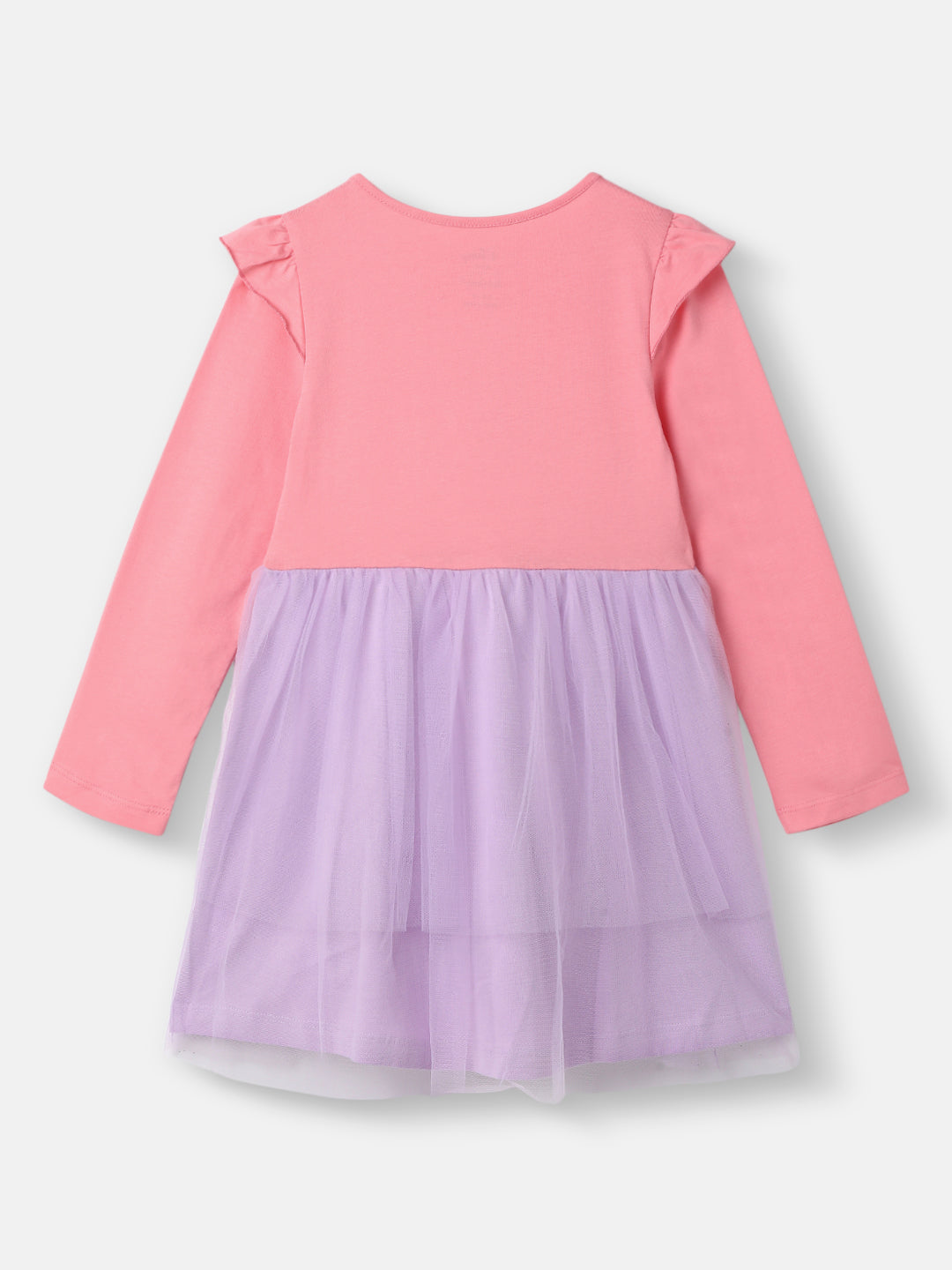 Nautinati Girls' Frozen Graphic Mesh Dress | Full Sleeves | Age 5-6 Years