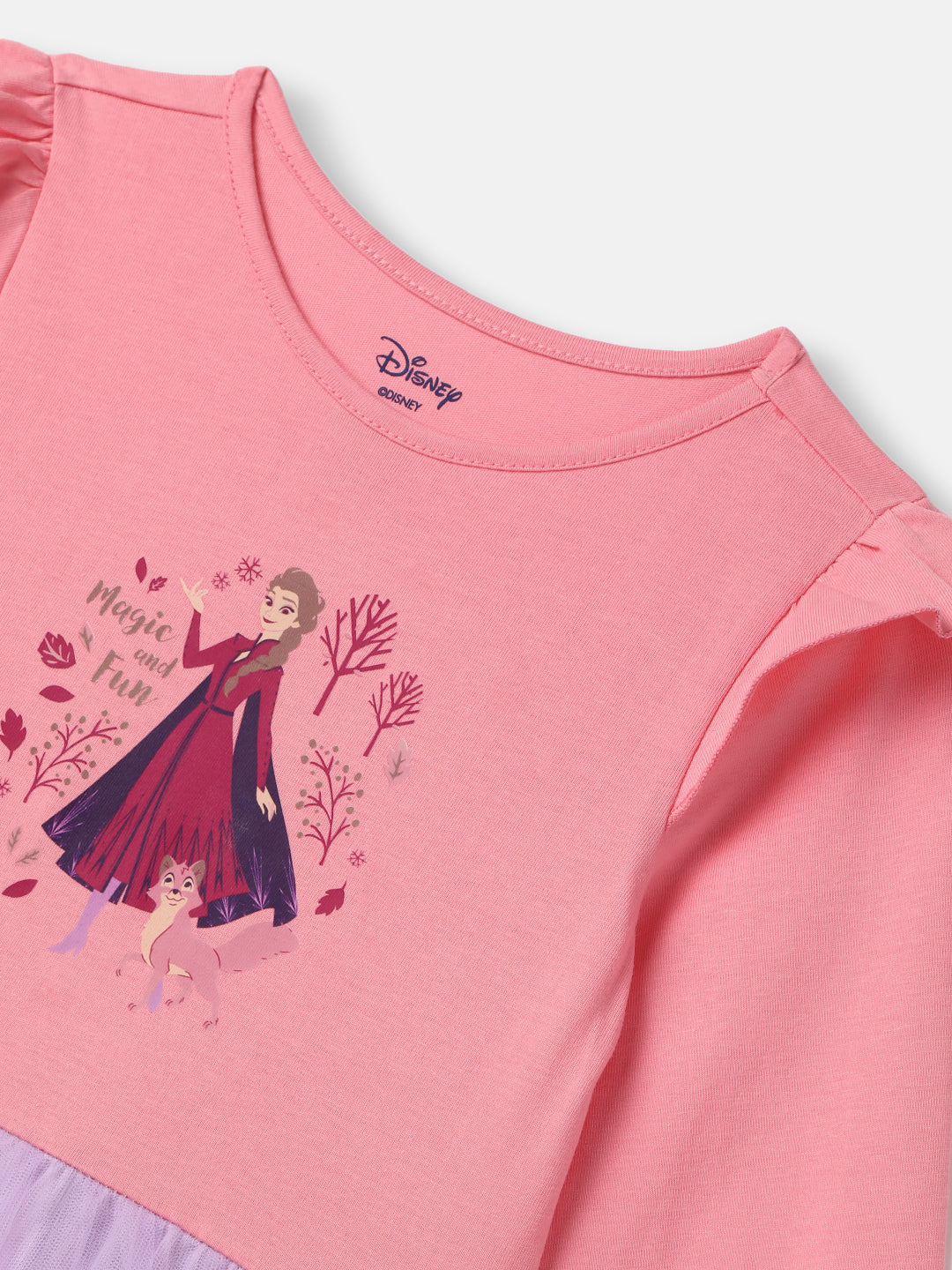 Nautinati Girls' Frozen Graphic Mesh Dress | Full Sleeves | Age 5-6 Years