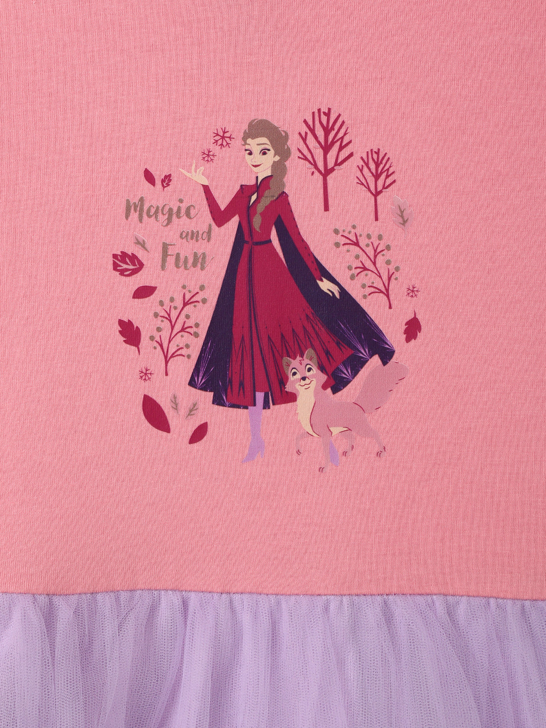 Nautinati Girls' Frozen Graphic Mesh Dress | Full Sleeves | Age 5-6 Years