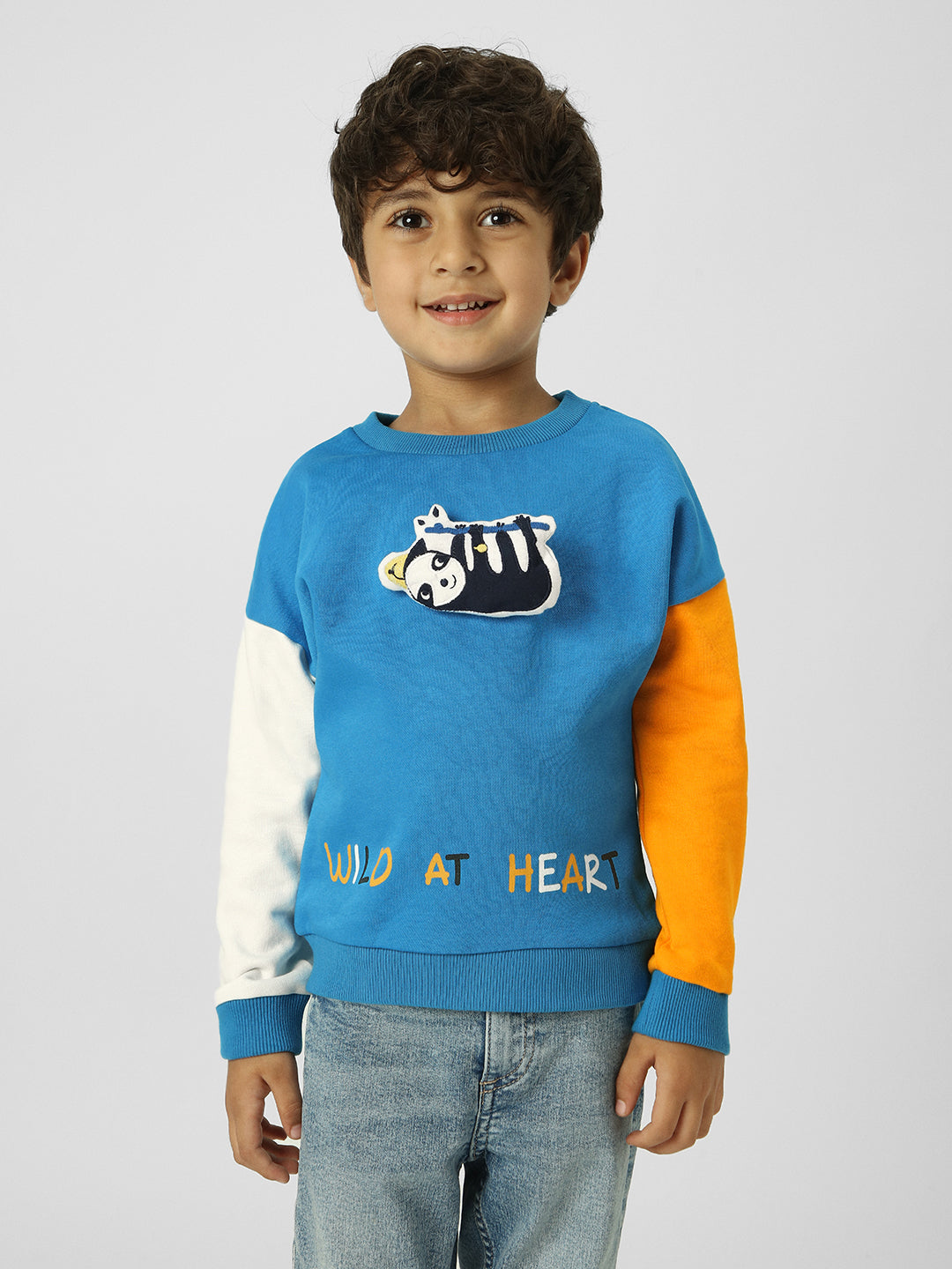 Boys Interactive & Playful Animal-Themed Applique Sweatshirt