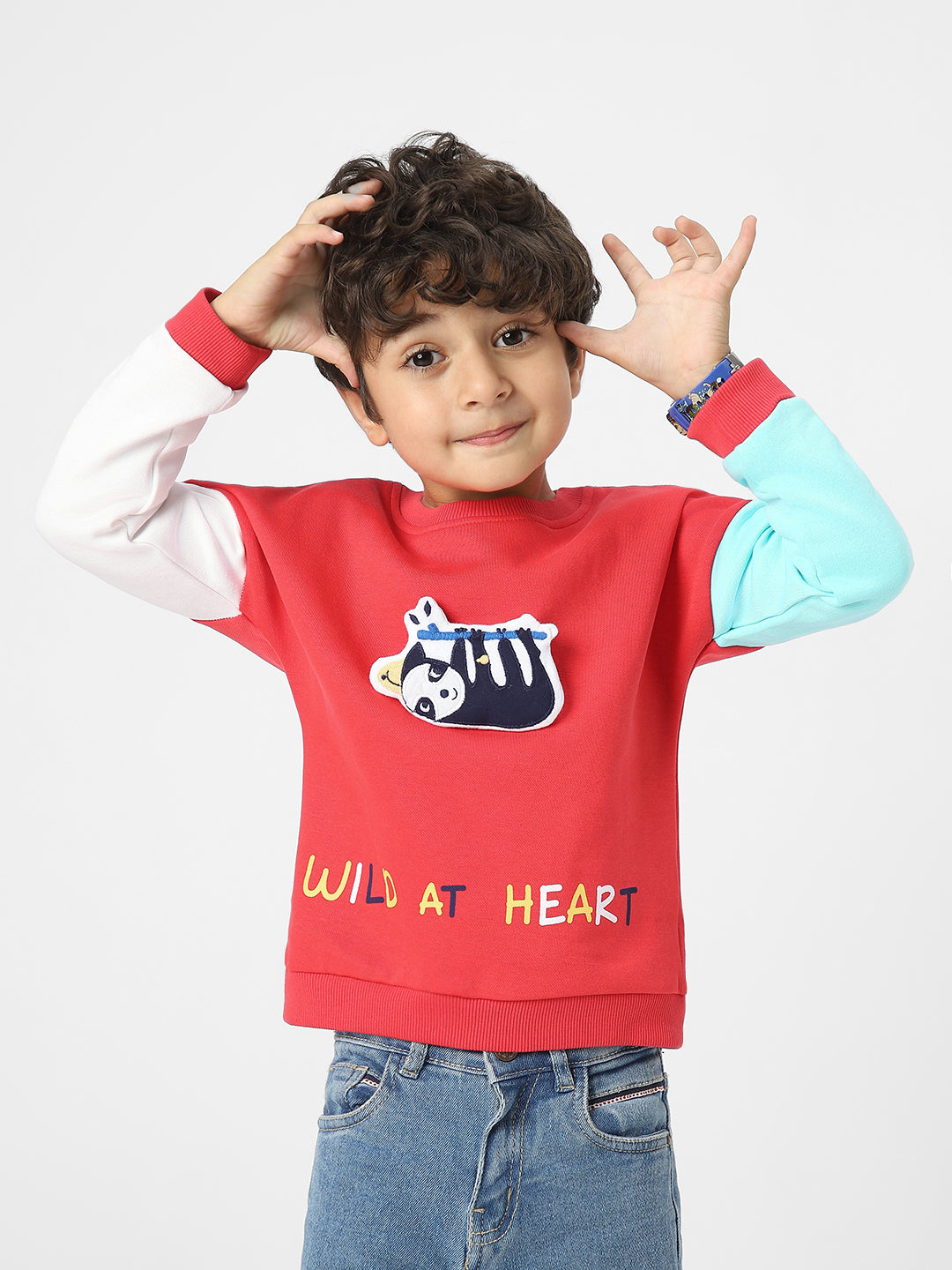 Boys Interactive & Playful Animal-Themed Applique Sweatshirt